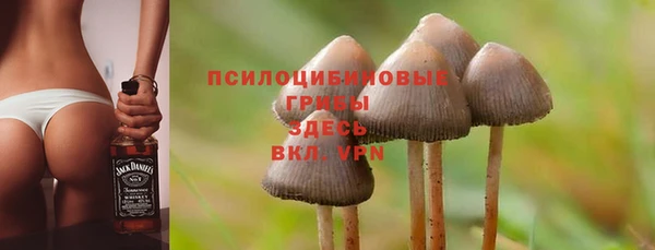spice Верея