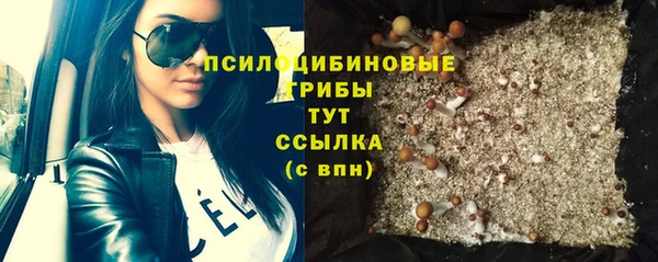 бошки Верхний Тагил