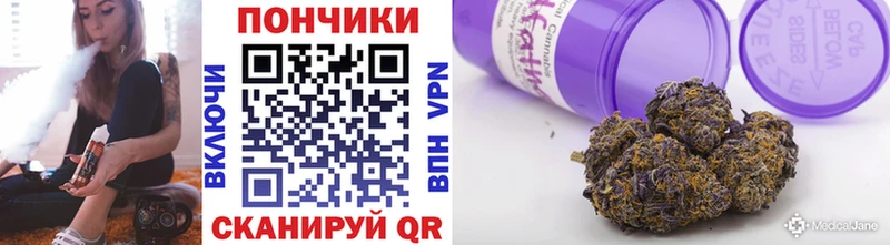 Канабис сатива  продажа наркотиков  Ивантеевка 